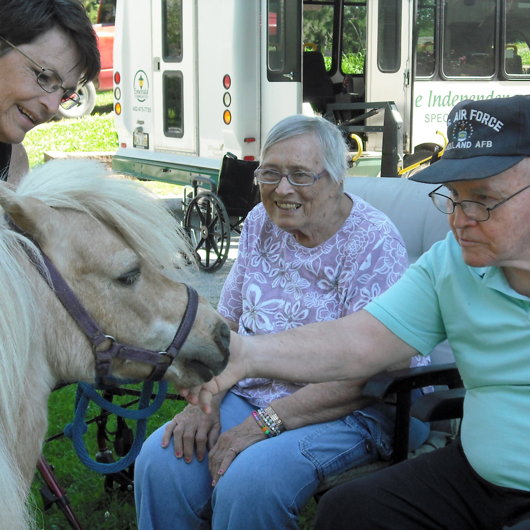 Assisted Living Lincoln NE: Horse Petting